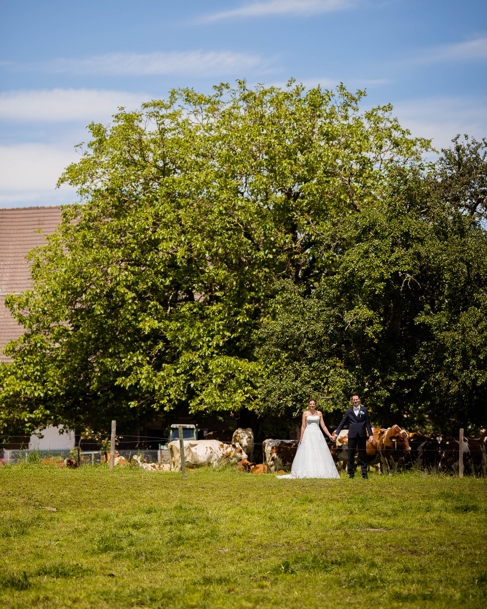 Export x3 1DX27514 Hochzeit 2020 Claudia & Marco 2